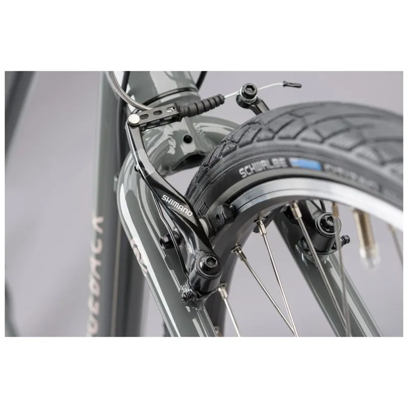 Ridgeback Velocity Grey-3